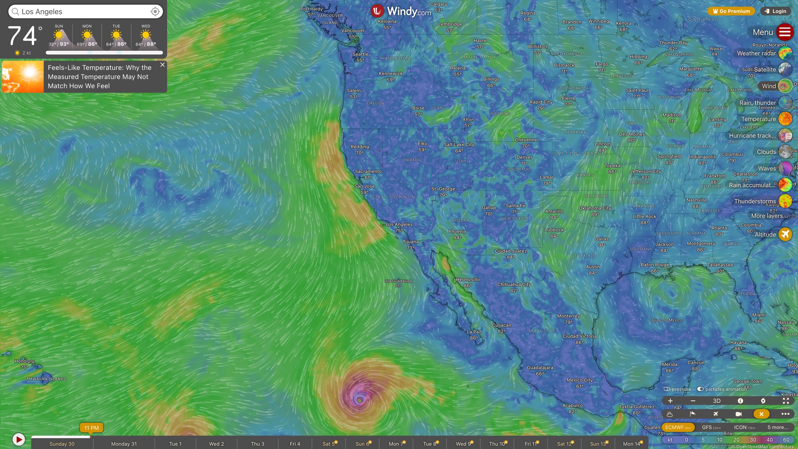 Windy's default wind layer: global wind flow rendered as particle animation over the map, with the layer bar on the right and the forecast timeline and model switcher at the bottom