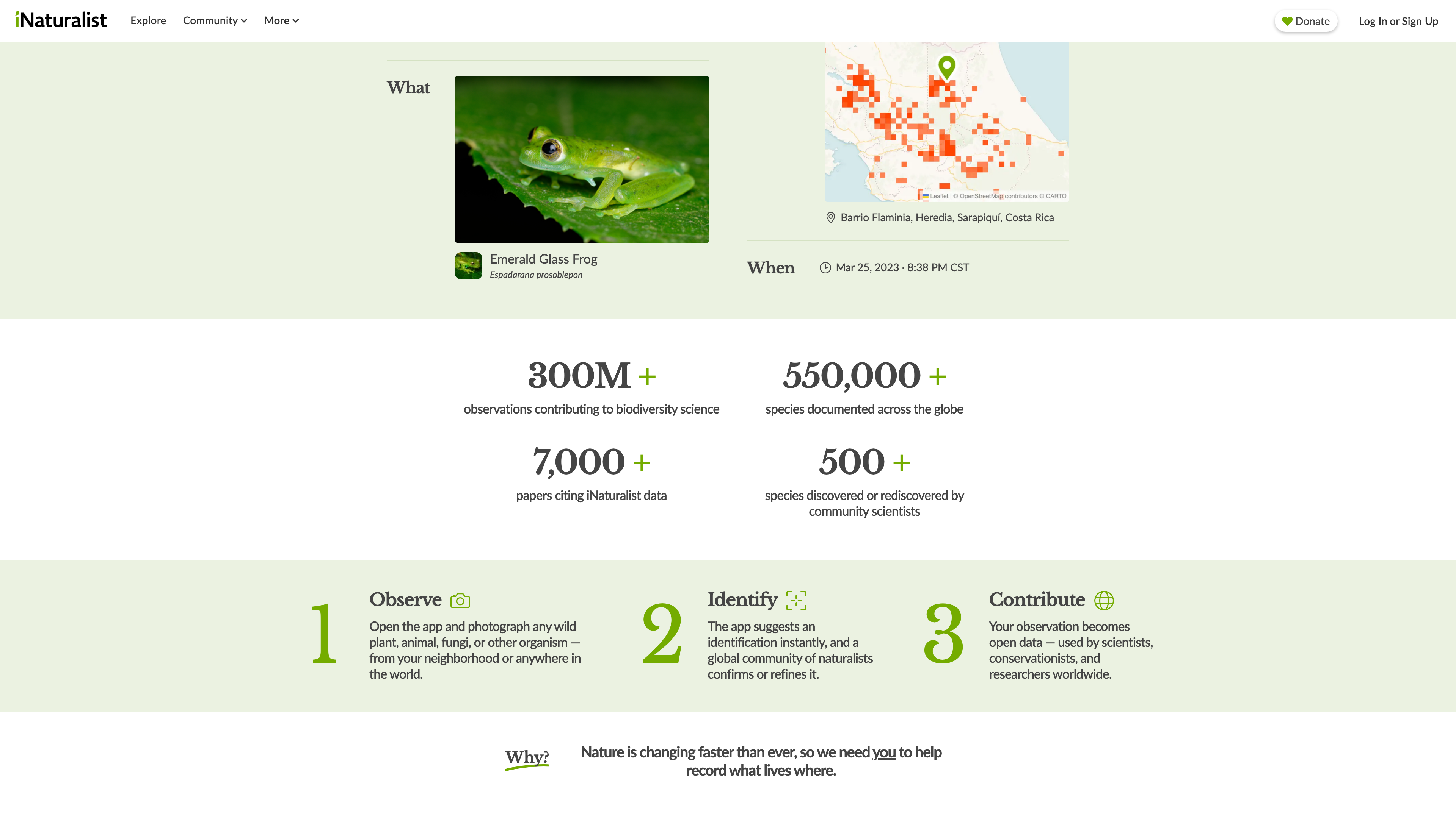 Platform scale per the homepage on 2026-09-02 — 300M+ observations, 550,000+ species, 7,000+ citing papers — and the observe-identify-contribute flow