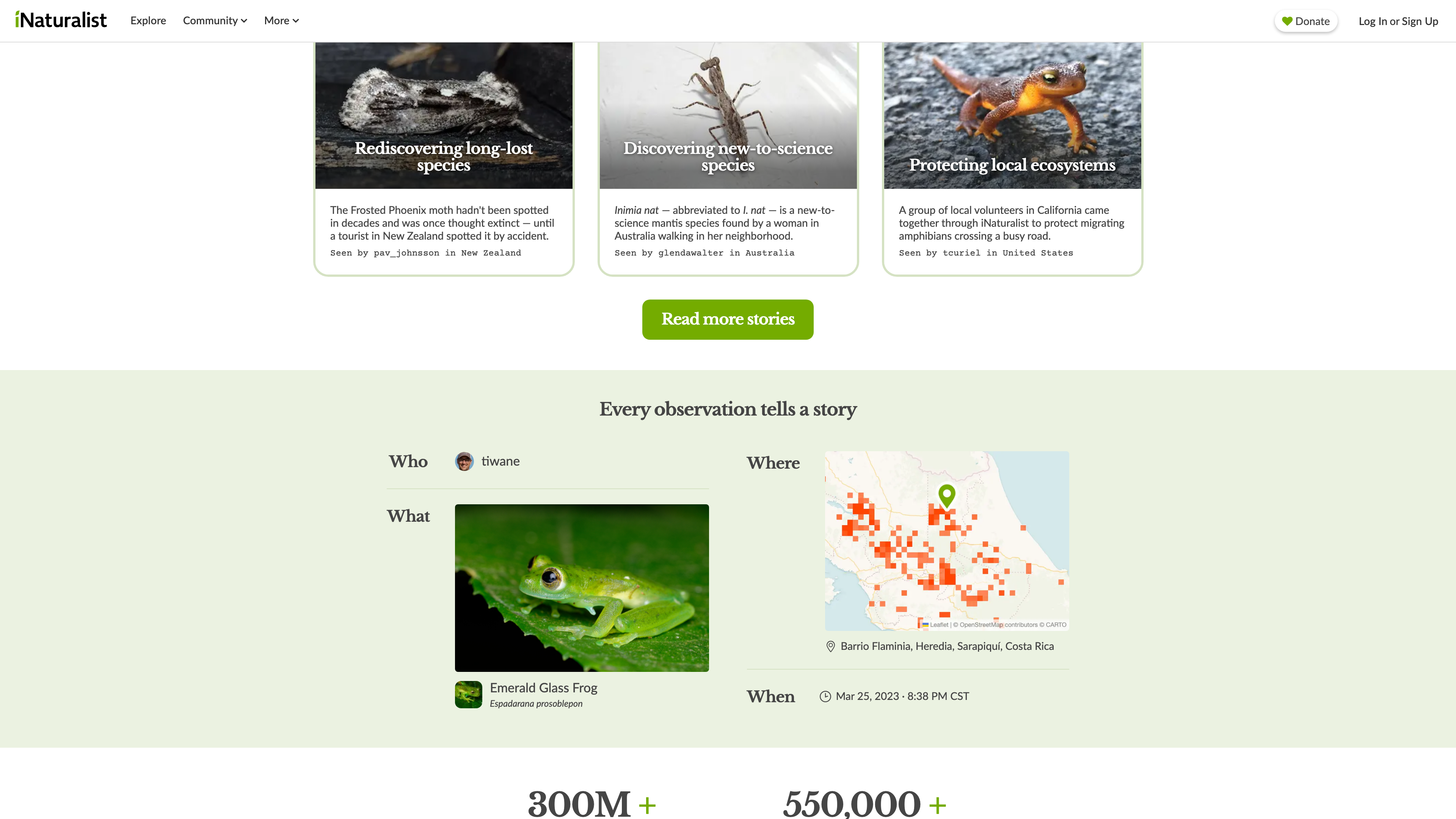 Anatomy of an observation: who, what, where, when — plus the species' distribution map